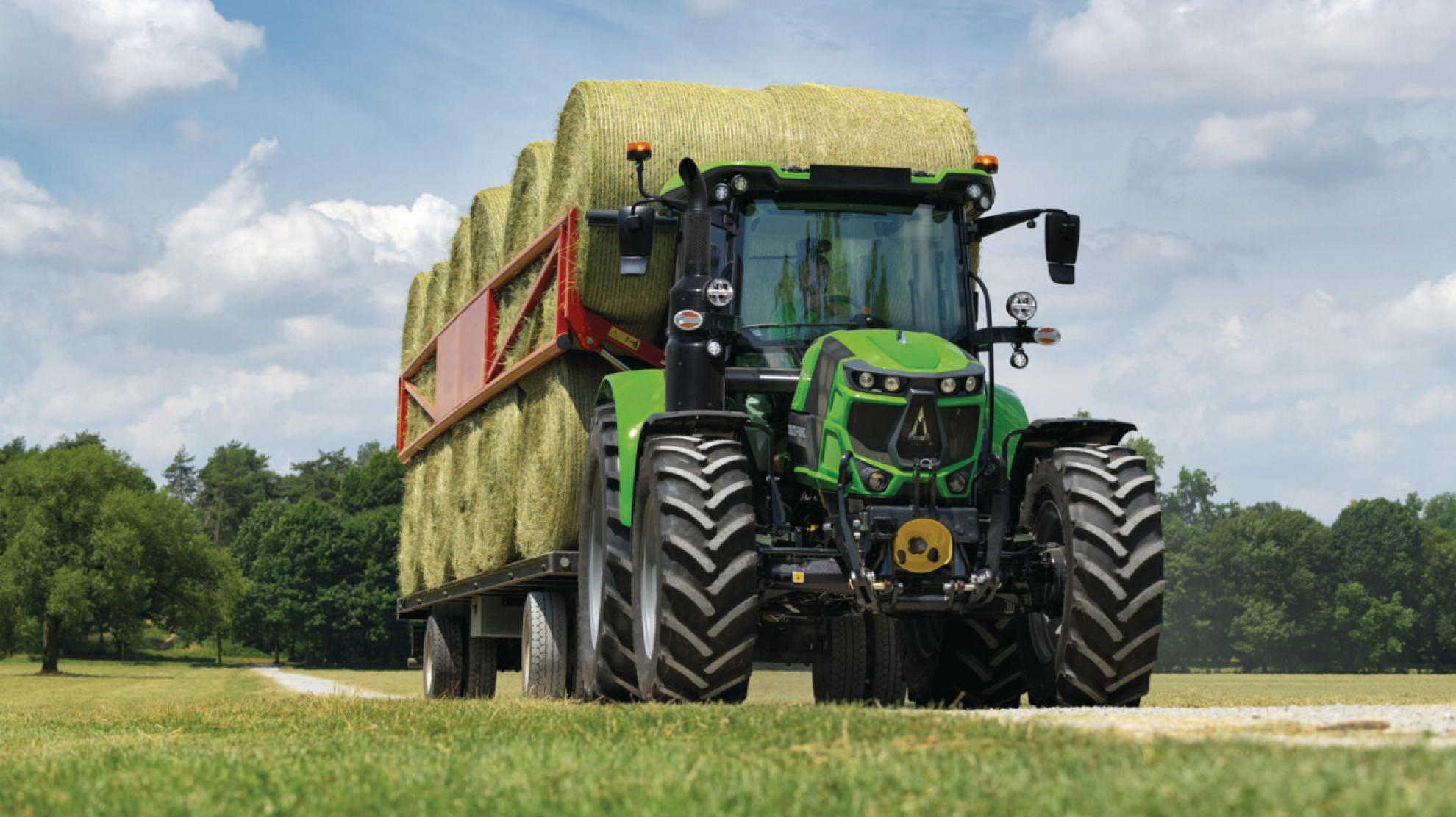 Series 6C_6135C_PS_field_DSC_8886